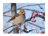 DSC08475_н

Просмотров: 535
Комментариев: 1