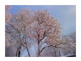 Первый снег 29 октября.. Пушистое утро
Фотограф: vikirin

Просмотров: 3243
Комментариев: 0