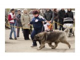 Название: Кавказцы (12)
Фотоальбом: Выставка собак 22-23 мая 2010г.
Категория: Животные

Время съемки/редактирования: 2010:05:31 00:37:16
Фотокамера: Canon - Canon EOS 50D
Диафрагма: f/5.6
Выдержка: 1/1000
Фокусное расстояние: 80/1
Светочуствительность: 400


Просмотров: 1098
Комментариев: 0