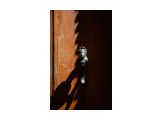 Фото 95

Просмотров: 763
Комментариев: 0