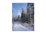 175-к

Просмотров: 750
Комментариев: 0