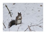 ***
Фотограф: Сергей Буркацкий

Просмотров: 822
Комментариев: 0
