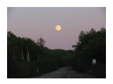 Подъезжаем к дому.. встречает полная луна... 
Фотограф: vikirin

Просмотров: 4232
Комментариев: 0