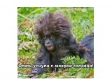 Вау! :)))

Просмотров: 691
Комментариев: 0