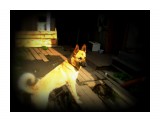 Банга

Просмотров: 1838
Комментариев: 1