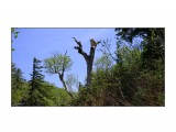 2012.06.12 14-28-34

Просмотров: 303
Комментариев: 0