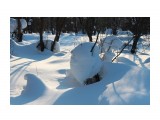 В снежной стране...
Фотограф: vikirin

Просмотров: 2616
Комментариев: 0