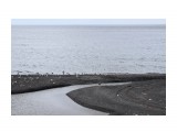 5
Фотограф: 11m

Просмотров: 625
Комментариев: 0