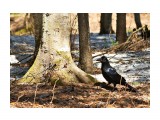 ***
Фотограф: Сергей Буркацкий

Просмотров: 1265
Комментариев: 0