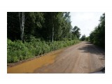 Лесные дорожки
Фотограф: vikirin

Просмотров: 1208
Комментариев: 0