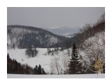 Распадок Шебунино
Фотограф: САМСОНОВ

Просмотров: 2573
Комментариев: 0