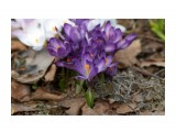 Фото 32

Просмотров: 1604
Комментариев: 0