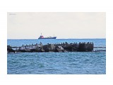 Морской пейзаж.
Фотограф: 7388PetVladVik

Просмотров: 4294
Комментариев: 0