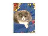 Grin025

Просмотров: 790
Комментариев: 