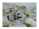 6

Просмотров: 3451
Комментариев: 0