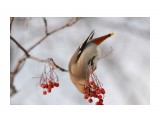 :)
Фотограф: Tsygankov Yuriy

Просмотров: 942
Комментариев: 0