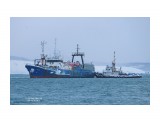 ЗЛАТОУСТОВСК.   (IMO 8138592, MMSI  273894010,  CS  UFVJ).   Порт Невельск.
Фотограф: 7388PetVladVik

Просмотров: 4039
Комментариев: 0