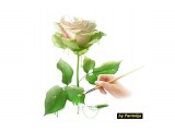  a rose

Просмотров: 3115
Комментариев: 0