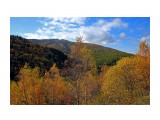 034-к

Просмотров: 633
Комментариев: 0