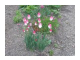 P6122883

Просмотров: 126
Комментариев: 0