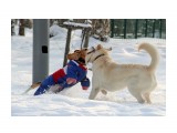 Игра

Просмотров: 377
Комментариев: 0