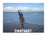 5

Просмотров: 559
Комментариев: 0