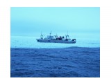КОКАНД.  
Фотограф: 7388PetVladVik

Просмотров: 5215
Комментариев: 0