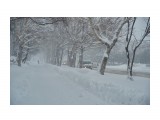 В снежной пелене
Фотограф: VictorV

Просмотров: 599
Комментариев: 0