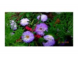 DSC06474

Просмотров: 540
Комментариев: 0