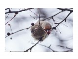 _DSC4994
Фотограф: VictorV

Просмотров: 360
Комментариев: 0