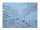 DSCN0129
Фотограф: Меркулова Ольга

Просмотров: 1307
Комментариев: 0