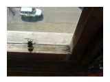 Название: Наконец-то за мной приехал.
Фотоальбом: Разное
Категория: Разное

Время съемки/редактирования: 2007:05:11 17:03:19
Фотокамера: Sony Ericsson - K750i
Диафрагма: f/2.8
Выдержка: 1/1250
Светочуствительность: 100


Просмотров: 1393
Комментариев: 0