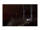 Ночные сьемки с фонарем
Фотограф: vikirin

Просмотров: 1181
Комментариев: 0