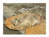 Dscn6702

Просмотров: 459
Комментариев: 0