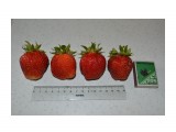 Название: Эльвира
Фотоальбом: Разное
Категория: Разное

Время съемки/редактирования: 2015:07:20 19:06:22
Фотокамера: NIKON CORPORATION - NIKON D5200
Диафрагма: f/5.6
Выдержка: 10/300
Фокусное расстояние: 260/10



Просмотров: 532
Комментариев: 0