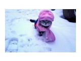 cat &scaf

Просмотров: 3865
Комментариев: 1