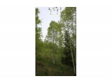 038-к

Просмотров: 406
Комментариев: 0