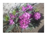 SAM_0927

Просмотров: 1071
Комментариев: 