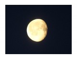 Луна из машины на скорости на RAWе
Фотограф: vikirin

Просмотров: 1672
Комментариев: 0