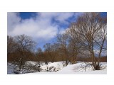 ***

Просмотров: 2877
Комментариев: 0