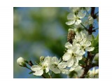 _IGP0113

Просмотров: 1156
Комментариев: 0