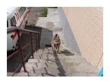 Название: Сахалин
Фотоальбом: Сахалин
Категория: Животные
Фотограф: 9999999

Время съемки/редактирования: 2009:07:06 01:58:07
Фотокамера: SAMSUNG - SAMSUNG PL10 / VLUU PL10 / SAMSUNG CL5
Диафрагма: f/6.4
Выдержка: 1/500
Фокусное расстояние: 63/10
Светочуствительность: 80


Просмотров: 4927
Комментариев: 0