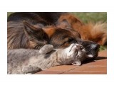 Весна :)

Просмотров: 554
Комментариев: 0