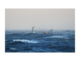 Северо-корейское промысловое судно штормует в Японском море.
Фотограф: 7388PetVladVik

Просмотров: 3238
Комментариев: 1