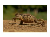 ***
Фотограф: Сергей Буркацкий

Просмотров: 1186
Комментариев: 0