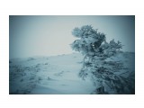 Стихия
Фотограф: uver

Просмотров: 1448
Комментариев: 0