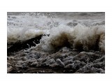 Море штормило и хлестало волнами
Фотограф: vikirin

Просмотров: 1377
Комментариев: 0