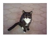 котик

Просмотров: 730
Комментариев: 