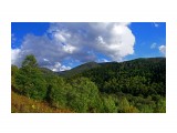 015-пан-к

Просмотров: 791
Комментариев: 0