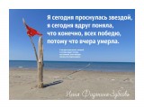 DSC01438
Фотограф: Инна Фидянина-Зубкова

Просмотров: 2096
Комментариев: 0